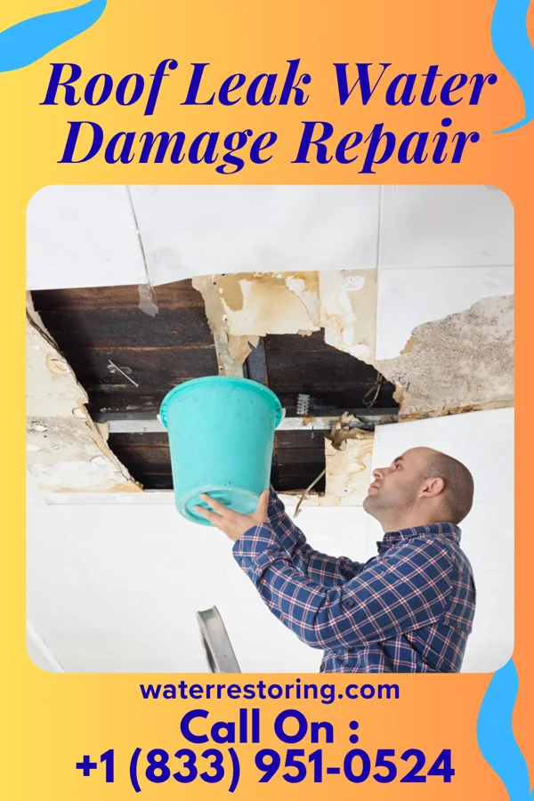 Roof Leak Water Damage Repair in Anderson, MO