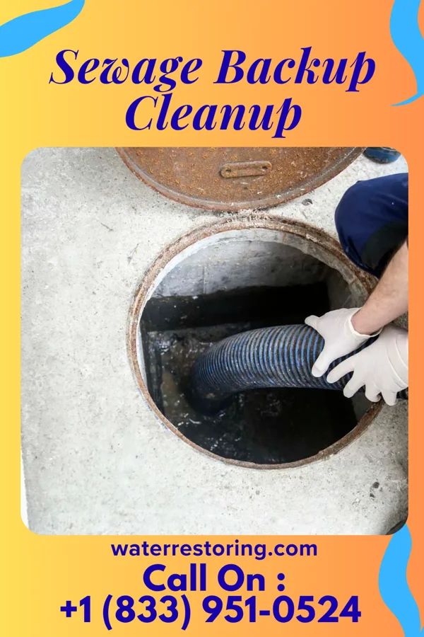 Sewage Backup Cleanup in Anderson, MO