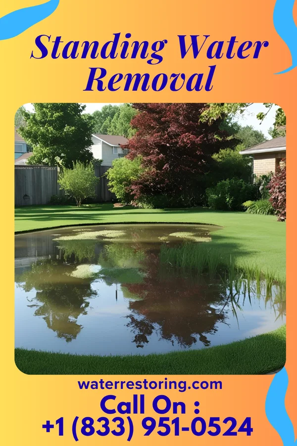 Standing Water Removal in Anderson, MO
